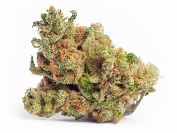 Jack Herer